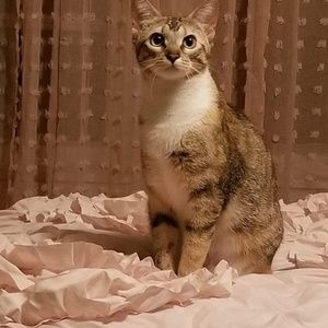 Meet your Posher, Connie